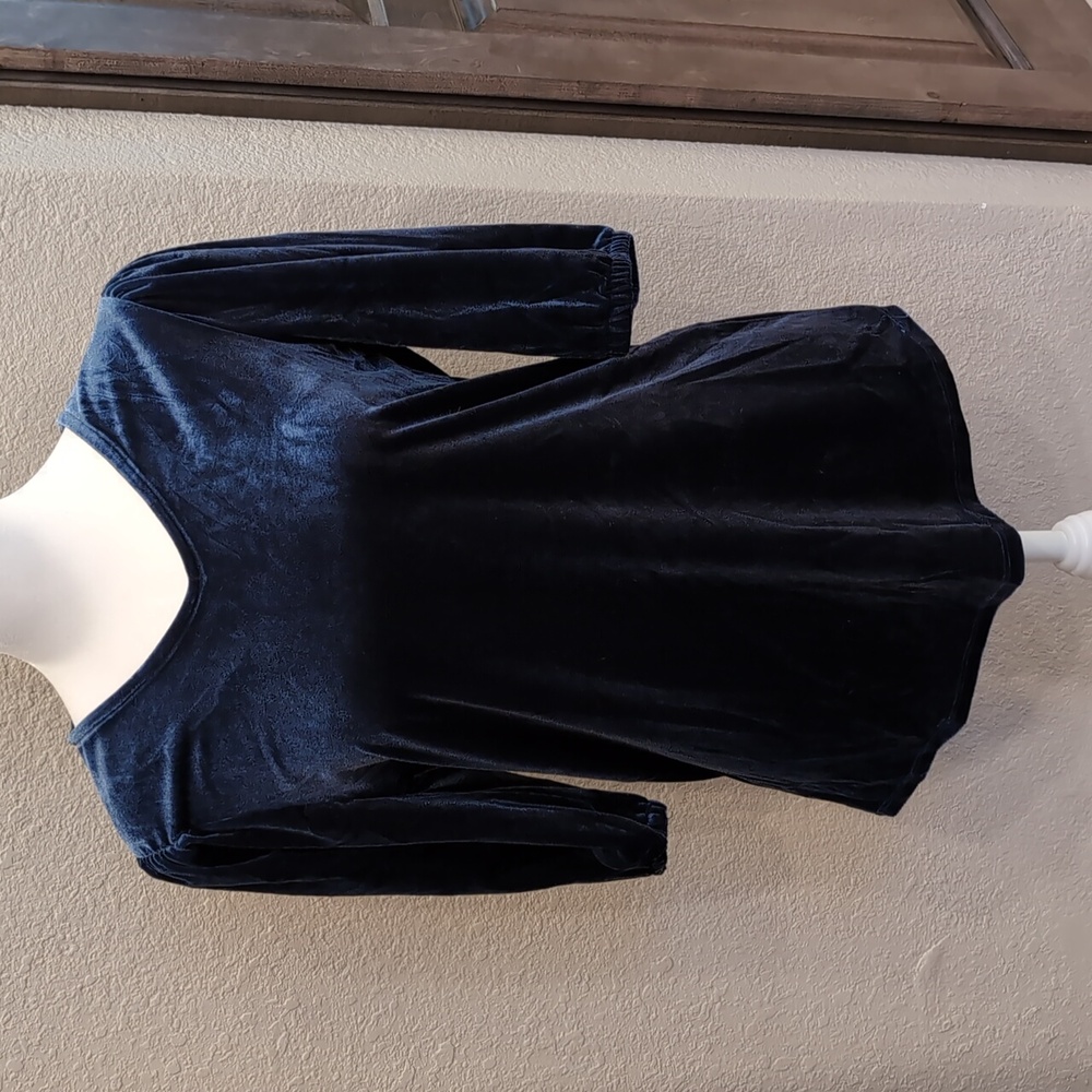 Chico's Size 0. Velvet Blouse